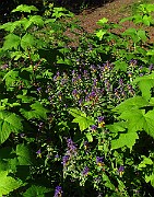 IMG_2559