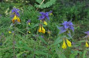 IMG_8630
