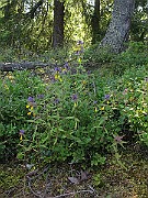 IMG_8643