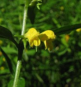 IMG_7978