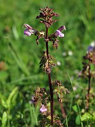 IMG_9682