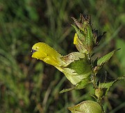 IMG_9687