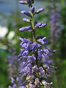 IMG_7357