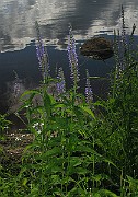 IMG_7369