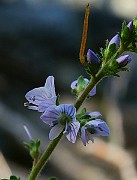 IMG_0355