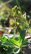 IMG_0356