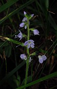 IMG_2633
