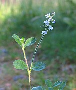 IMG_2635