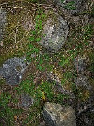 IMG_4312