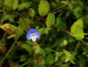 IMG_0829