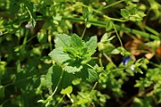 IMG_0830