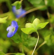IMG_0831