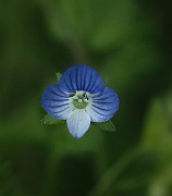 IMG_1187