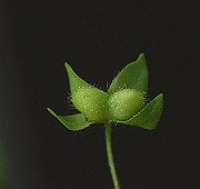 IMG_1192