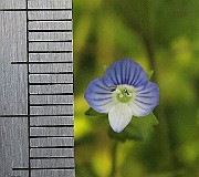 IMG_1198