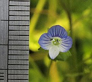IMG_1199