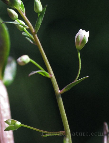 IMG_8007.jpg