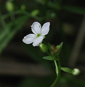 IMG_1658