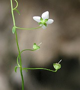 IMG_1663