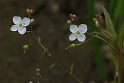 IMG_1676
