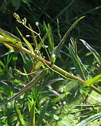 IMG_8012