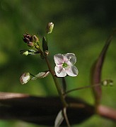 IMG_8014