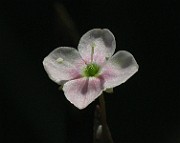 IMG_8018