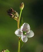 IMG_8019