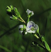 IMG_7941