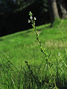 IMG_7944