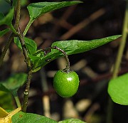 IMG_1789