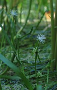 IMG_8818