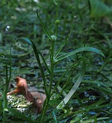 IMG_8820
