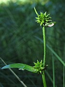 IMG_8821