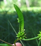 IMG_8822