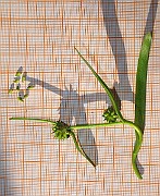 IMG_8925