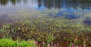 IMG_1952