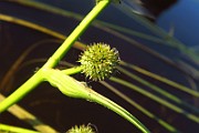 IMG_6777