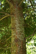 IMG_9840