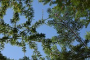 IMG_9842
