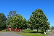 IMG_1602