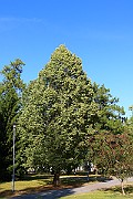 IMG_7051