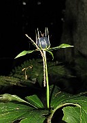 IMG_3276