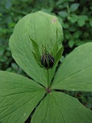 IMG_5029