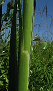 IMG_4152