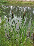 IMG_5221