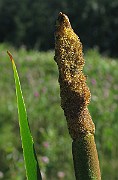 IMG_7628
