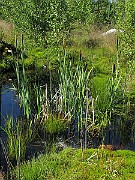 IMG_7632
