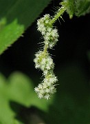 IMG_3473