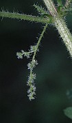 IMG_8797